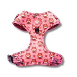 Arnés Ajustable Foxy Zen