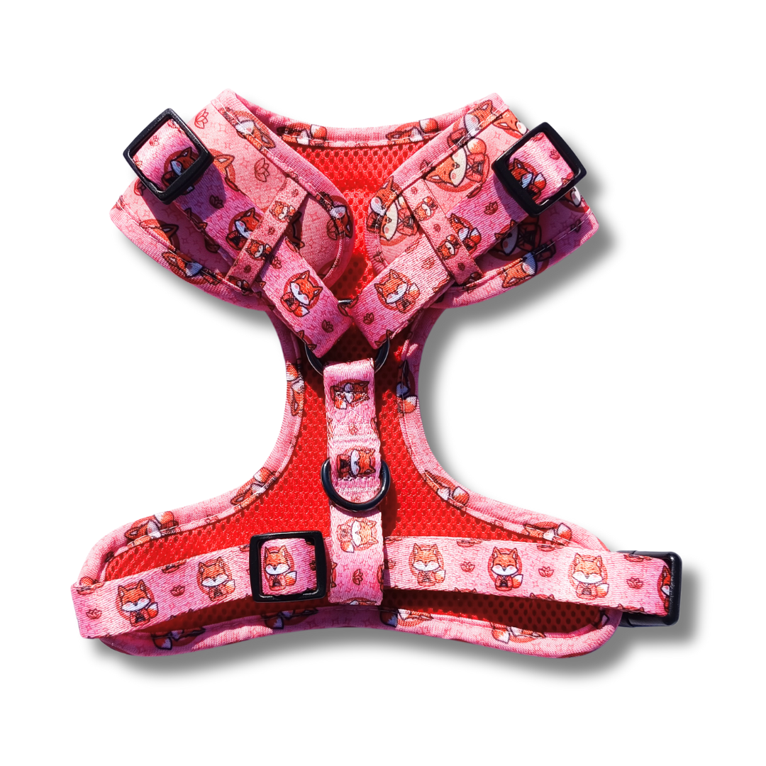 Arnés Ajustable Foxy Zen